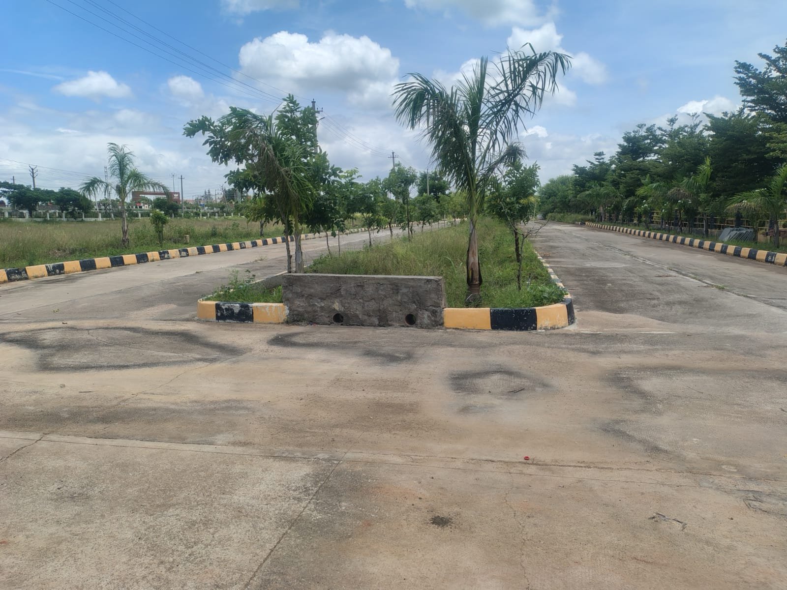 Land and natural surroundings